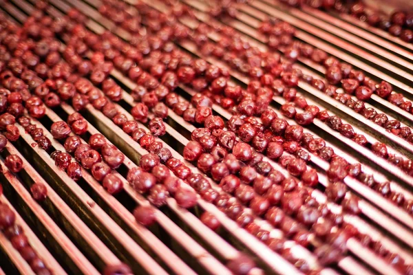 sour cherries in processing machines