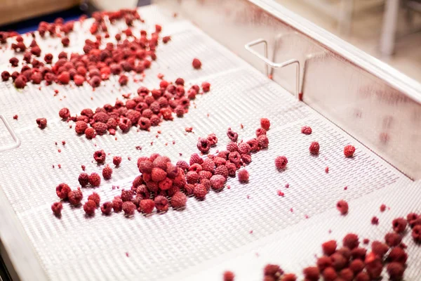 Geschäft mit tiefgefrorenen Himbeeren — Stockfoto