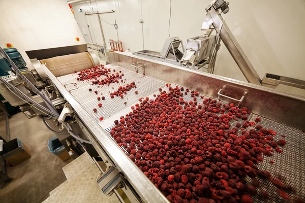 Geschäft mit tiefgefrorenen Himbeeren — Stockfoto