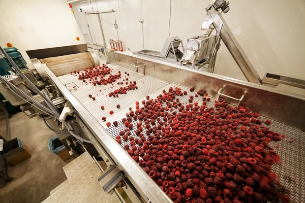 Geschäft mit tiefgefrorenen Himbeeren — Stockfoto