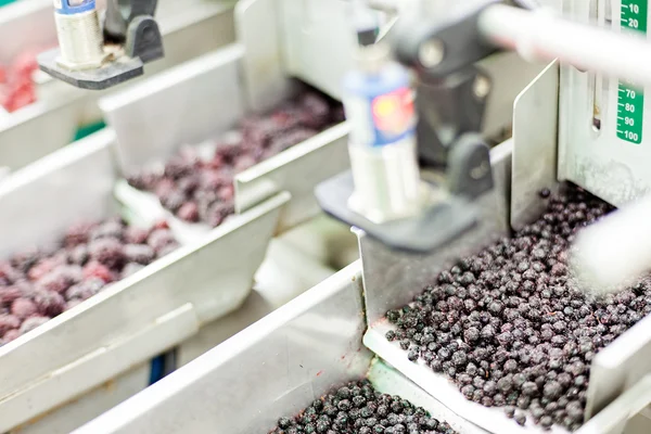 Negócios congelados de processamento de framboesa — Fotografia de Stock