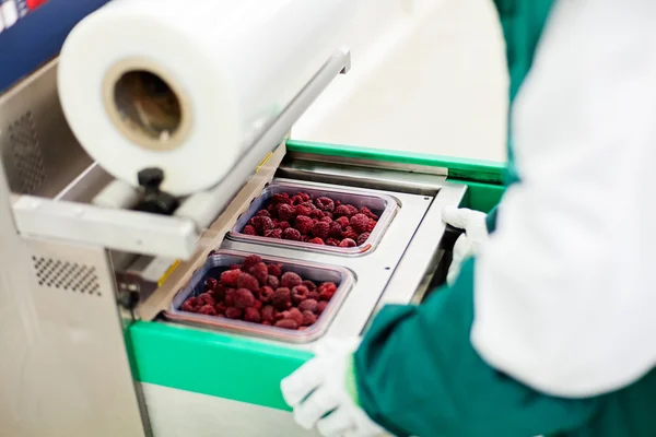 Negócios congelados de processamento de framboesa — Fotografia de Stock