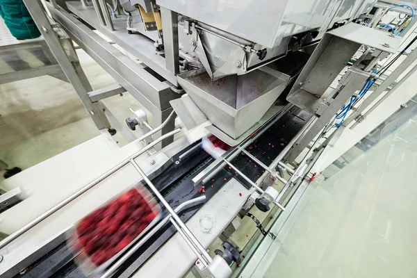 Frozen raspberry processing business — Stock Photo, Image