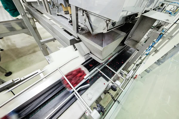 Frozen raspberry processing business — Stock Photo, Image