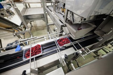 dondurulmuş ahududu iş işleme