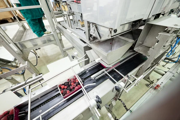 Frozen raspberry processing business — Stock Photo, Image