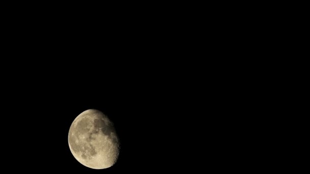 O lapso de tempo de uma lua grande como ele sobe no céu noturno preto — Vídeo de Stock