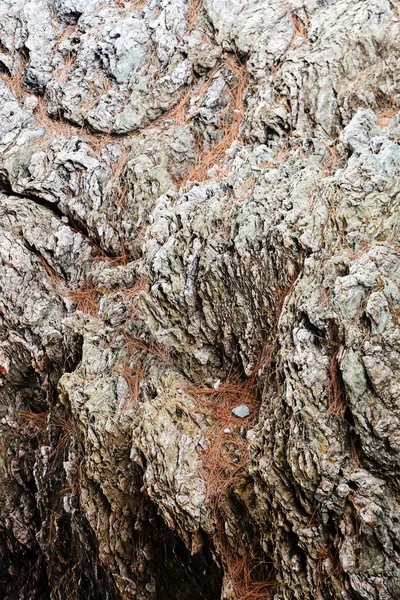 Pedras cinzentas afiadas na praia — Fotografia de Stock