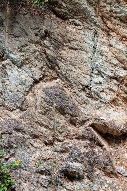 Sahilde gri taş keskin