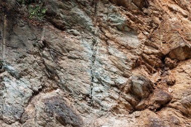 Sahilde gri taş keskin