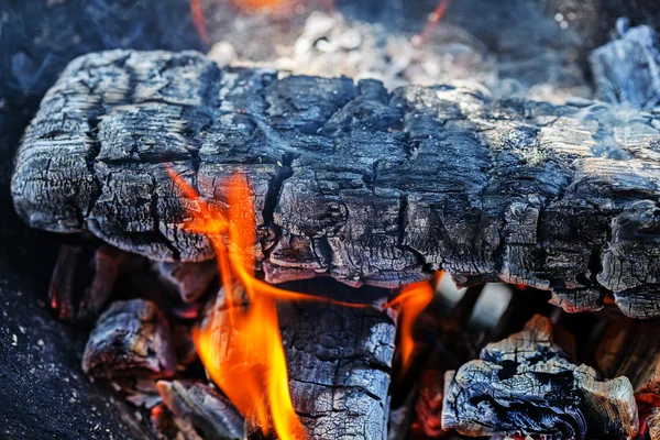 Frêne feu de bois — Photo