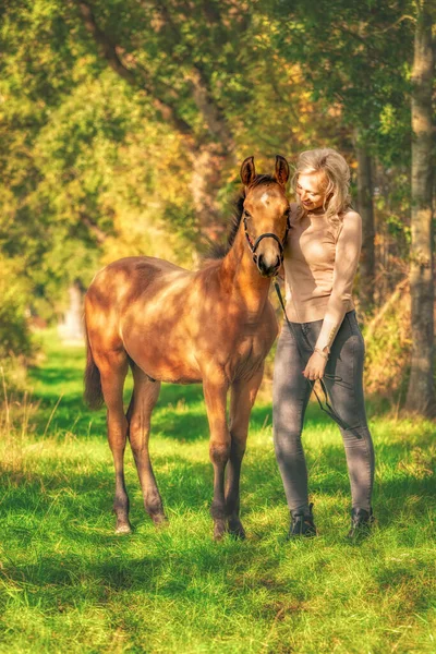 Poulain Brun Clair Une Jeune Fille Blonde Dans Forêt Avec — Photo