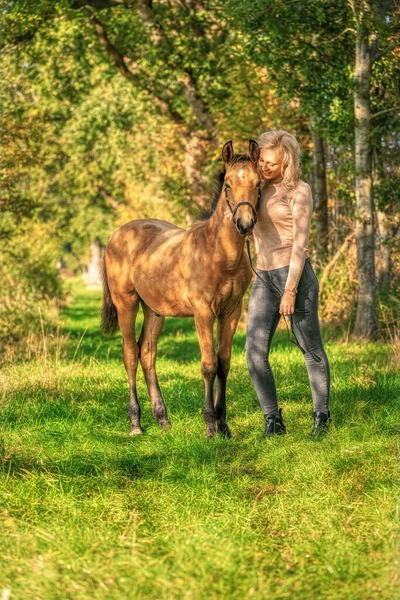 Poulain Brun Clair Une Jeune Fille Blonde Dans Forêt Avec — Photo