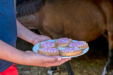Geleneksel Hollanda doğum günü bisküvisi ve pembe fareler. Bir tayın doğumu için fareli rusk, arka planda at.
