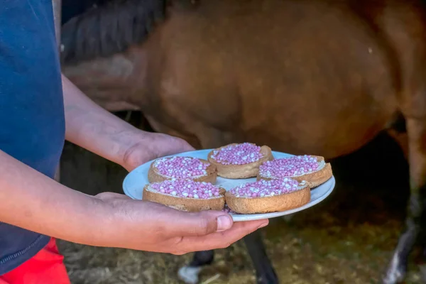 Geleneksel Hollanda doğum günü bisküvisi ve pembe fareler. Bir tayın doğumu için fareli rusk, arka planda at.