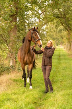 Kahverengi bir at ve genç bir kadın, sonbahar akşamı güneşinde orman yolunda.