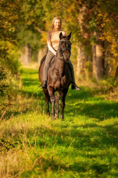 Belle Cavalière Blonde Sur Cheval Sans Tristesse Dans Les Bois — Photo