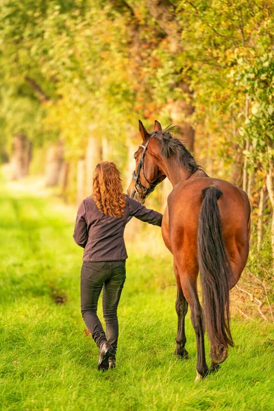 Brown Horse Young Woman Walking Forest Trail Autumn Evening Sun — Stock Photo, Image