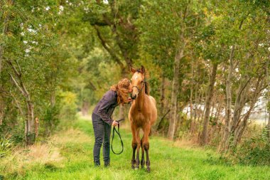 Açık kahverengi bir geyik derisi tayı, kadın sevgiyle onun burnundan tayı öpüyor. sonbahar renkleri.