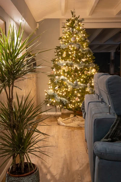 Нидерланды Фрисландия Января 2020 Красиво Украшенная Гостиная Рождественским Деревом — стоковое фото