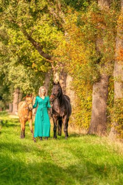 Altın güneşte, ormanda atı ve tayı ile gülümseyen sarışın bir kızın portresi. Yeşil bir elbise giyiyor. Seçici odak.