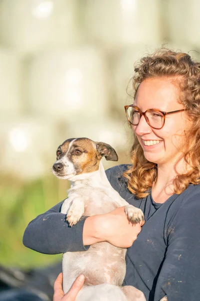 Jack Russell Terrier Perro Encuentra Los Brazos Una Mujer Joven — Foto de Stock