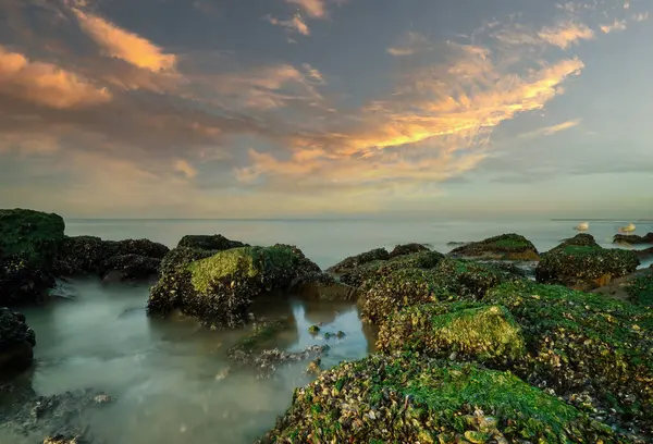 Couleurs Spectaculaires Coucher Soleil Bord Mer Rochers Avec Mousse Premier — Photo