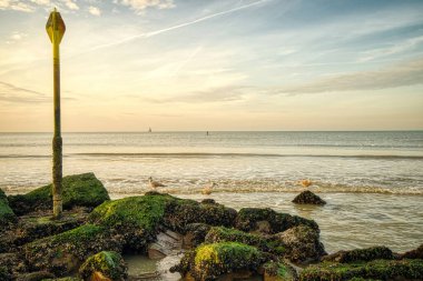 Sahilde güzel bir gün batımı. Arka planda martılar var. Etkileyici bir gökyüzü.