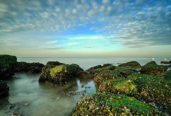 Couleurs Spectaculaires Coucher Soleil Bord Mer Rochers Avec Mousse Premier — Photo