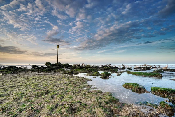 Krásný Západ Slunce Pláži Seascape Úsvitu Působivé Modré Nebe Racci — Stock fotografie