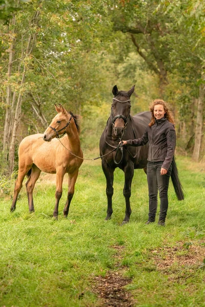 Boldog Mosolygós Lova Csikója Mellett Erdőben Őszi Színek — Stock Fotó