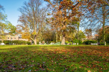 Lahey, Hollanda - 8 Kasım 2020: Çocuklu anneler şehirde parkta. Oynuyor ve birbirleriyle konuşuyorlar..