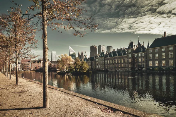 The Hague, The Netherlands - November 9, 2020: Peace and quiet at the courtyard, due to the lockdown by Covid-19. Only seagulls, no people. In vintage look — Stock Photo, Image