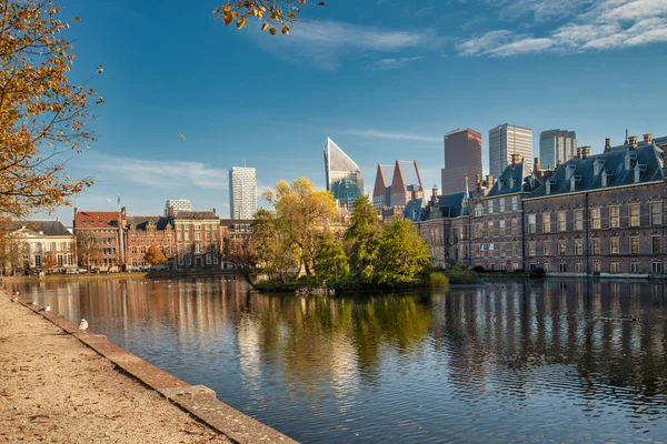 Hága, Hollandia - 2020. november 9.: Békesség és nyugalom az udvaron, a Covid-19 lezárása miatt. Csak sirályok, emberek nélkül. — Stock Fotó