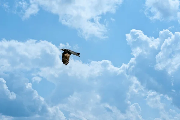 Eine Luftlinie fliegt im Winter in den blauen Himmel — Stockfoto