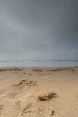 Sahildeki bir tahta parçasının seçici keskinliği. Gözetleme denizi ve arka planda güzel altın plaj. Tatil kavramı