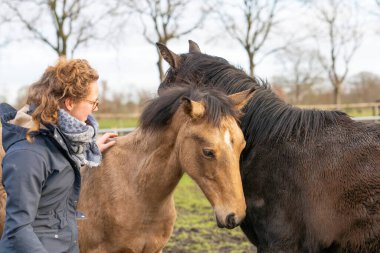 Çayırda bir yaşındaki aygırıyla balmumu montlu genç bir kadın. Sosyalleşmek için onlara sarılıyor.