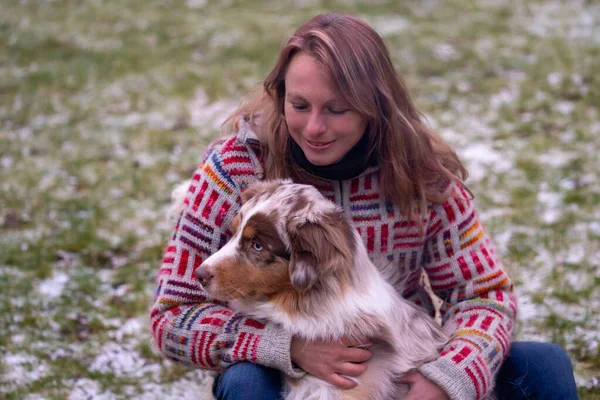 Tricolor pastor australiano se sienta en el regazo de una mujer joven en un suéter de invierno junto a la fogata. En invierno nieve en la hierba. Enfoque selectivo — Foto de Stock