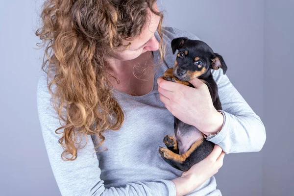 Parte de una mujer con rizos marrones, ella cariñosamente acaricia a un pequeño cachorro Jack Russel Terrier en sus brazos — Foto de Stock