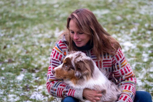 Tricolor pastor australiano se sienta en el regazo de una mujer joven en un suéter de invierno junto a la fogata. En invierno nieve en la hierba. Enfoque selectivo — Foto de Stock