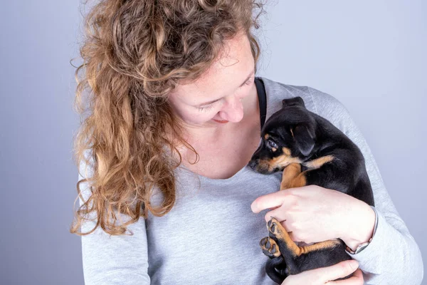 Parte de una mujer con rizos marrones, ella cariñosamente acaricia a un pequeño cachorro Jack Russel Terrier en sus brazos — Foto de Stock