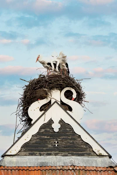 Two storks build a nest on the chimney of a house. Above an owl sign with white swans. A triangle and decoration on it. Dramatic Sunset, Skyscape