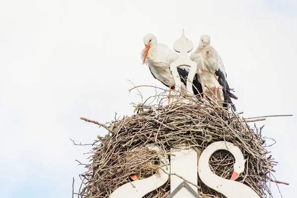 Two storks build a nest on the chimney of a house. Above an owl sign with white swans. A triangle and decoration on it.