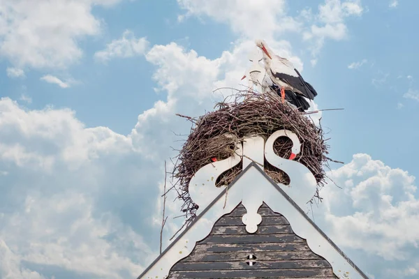 Two storks build a nest on the chimney of a house. Above an owl sign with white swans. A triangle and decoration on it. Dramatic Sunset, Skyscape.