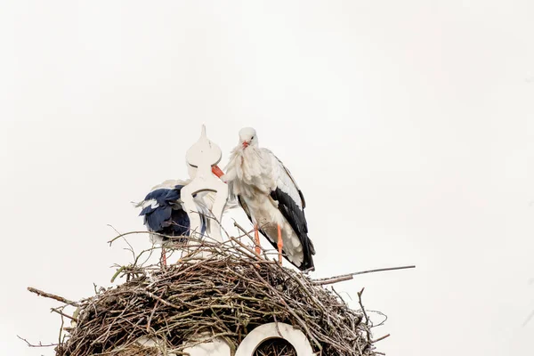 Two storks build a nest on the chimney of a house. Above an owl sign with white swans. A triangle and decoration on it