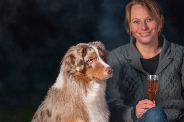 Young woman drinks red wine by the campfire in the forest. Her Australian Shepherd sits next to her. In winter, enjoy free time in the wilderness