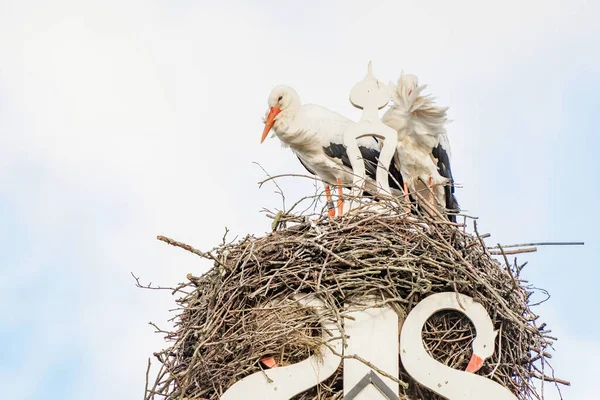 两只鹤在房子的烟囱上筑巢.上面挂着白天鹅的猫头鹰标志。三角形和装饰在上面 — 图库照片