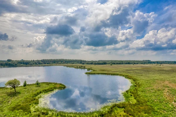 Widok Lotu Ptaka Trzcinami Jezioro Lesie Zdjęcie Wykonane Przez Drona — Zdjęcie stockowe