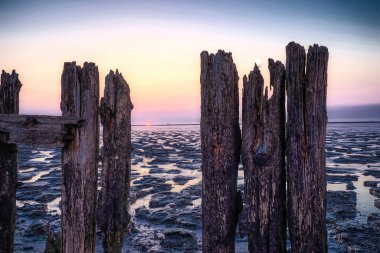 Gün batımında, alçak gelgitte Wadden Denizi manzarası. Renkli dramatik bir gökyüzü. Çamurda siluet olarak tahta direkler. UNESCO. Wadden Deniz Dünyası Mirası.