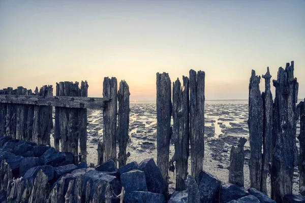 Άποψη της θάλασσας Wadden κατά τη διάρκεια του ηλιοβασιλέματος, σε χαμηλή παλίρροια. Ένας πολύχρωμος δραματικός ουρανός. Ξύλινες κολόνες σαν μια σιλουέτα στη λάσπη. UNESCO. Παγκόσμια Κληρονομιά της Θάλασσας Γουάντεν — Φωτογραφία Αρχείου